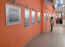 i_P1000313