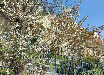 Světlanka na výletech